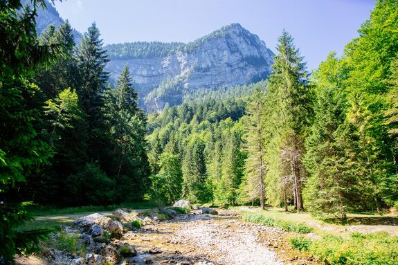 PHOTO SITE.jpg